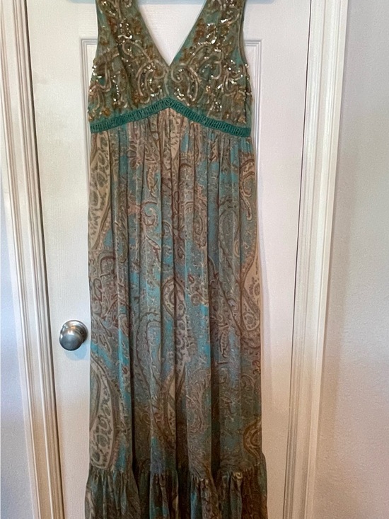 Ranna Gill Dresses & Skirts - Ranna Gill Teal and Beige Paisley Trim Dress